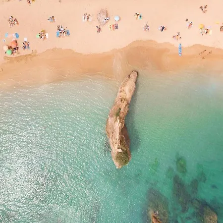 Amazonia Turisticos Palmela