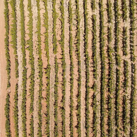 Appart hôtel Amazonia Turisticos 4*