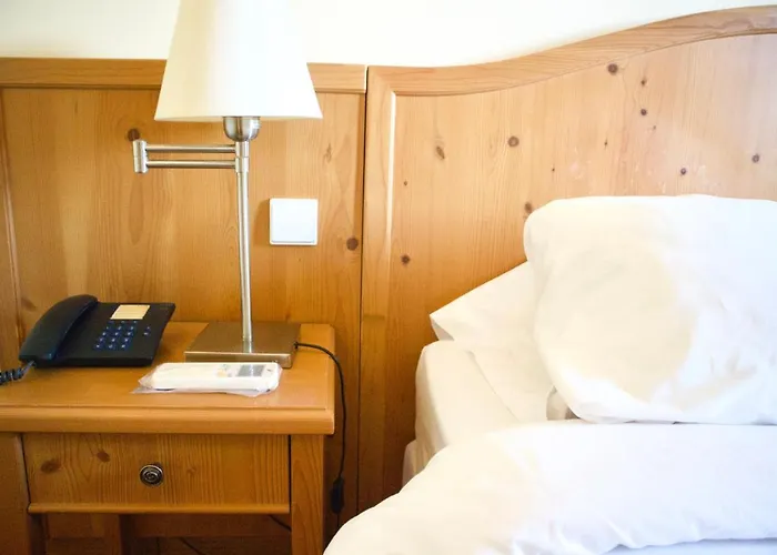 Amazonia Turisticos Palmela