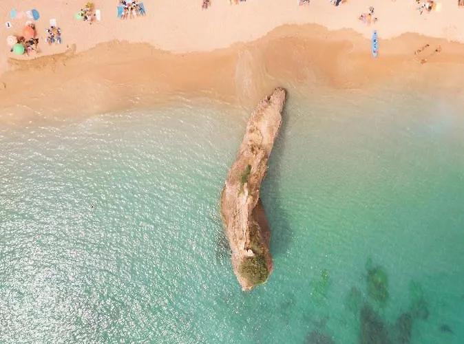 Amazonia Turisticos Palmela