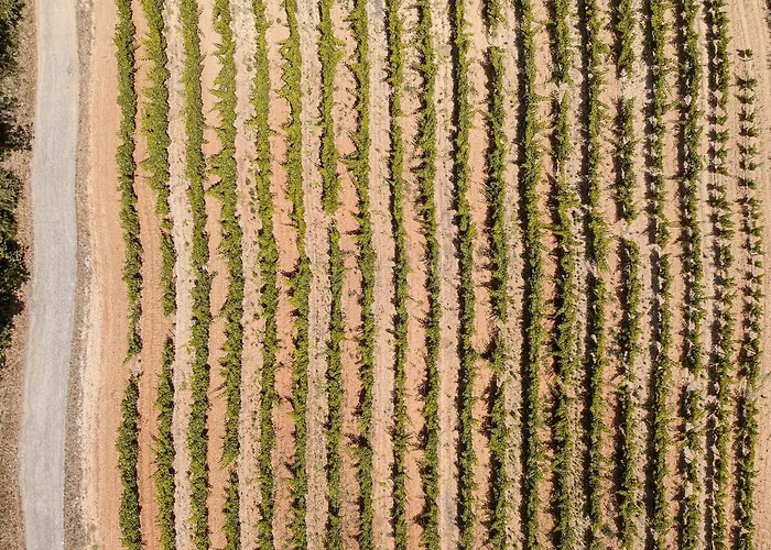 Aparthotel Amazonia Turisticos 4*